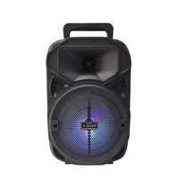 Haut-parleur Bluetooth d'extérieur de 6,5 pouces avec poignée, 5W, rechargeable, portable, avec micro filaire, radio FM, pour le camping en plein air, les fêtes, la maison, le karaoké