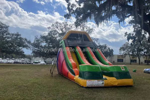 Thương mại thiết kế mới PVC <span class=keywords><strong>Inflatable</strong></span> Bouncer trượt nước và leo núi đá trượt với có thể tháo rời hồ bơi rẻ hơn để bán - Product Image 6