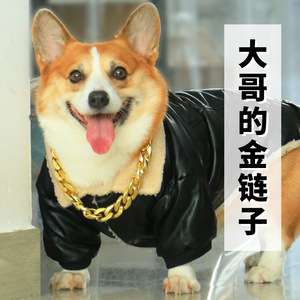 Gold Chain <b>Collar</b> For <b>Small</b> <b>Dogs</b> Adjustable Plastic With Bells Pet Accessory - Product Image 1