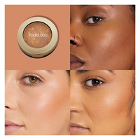 Marque privée Poudre végétalienne Surligneur Multicolore Mat Peau Corps Contouring Crème solaire Enrichi à base de minéraux Fairy Shimmer