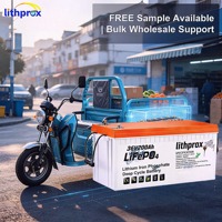 Batterie au lithium pour fauteuil roulant 36V200AH 7.2KWh Lithium Iron Phosphate LFP Sans entretien Écologique pour scooter électrique