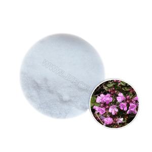 BAICAO Aceite Esencial Puro de Cristales de Tomillo, Alcanfor y <span class=keywords><strong>Timol</strong></span>, Hidratante, Prensado por Expulsión, 100% Puro de Jiangxi, Precio al por Mayor - Product Image 2