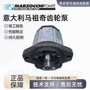ปั๊มน้ำมันเกียร์แรงดันสูง Marzocchi รุ่น GHP3A-D-66-FG แบบยึดหน้าแปลน ขับเคลื่อนด้วยไฟฟ้า สำหรับอุปกรณ์เครื่องจักรกล - Product Image 5