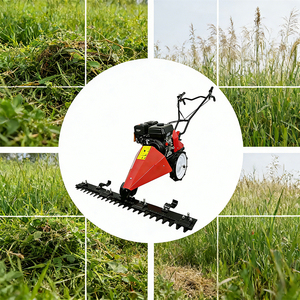Tondeuse autoportée CE 212cc essence, largeur de coupe 80-120cm, hauteur réglable 1-8cm, pour <span class=keywords><strong>la</strong></span> vente en gros en UE - Product Image 1