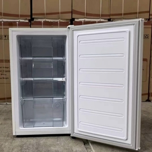 Congélateur vertical mini OEM 98L, congélateur portable compact, appareils électroménagers, réfrigérateur intelligent à porte unique pour la maison ODM - Product Image 2