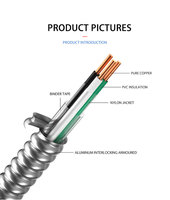 Cable JZD UL1569 de 600V, chaqueta de nailon entrelazada de aluminio, Cable de alimentación de cobre puro, Cable MC, Cable eléctrico