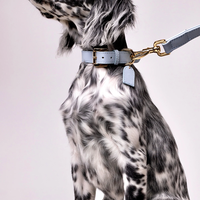 Collare per Cani in Morbida Pelle di Lusso Personalizzato con Chiusura a Strappo, Anello a D Regolabile e Lavabile