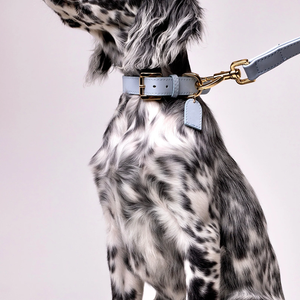 <span class=keywords><strong>Collar</strong></span> de Perro de Cuero Suave de Lujo Personalizado con Cierre de Gancho y Bucle de Patrón Sólido, Anillo en D Ajustable y Lavable - Product Image 6