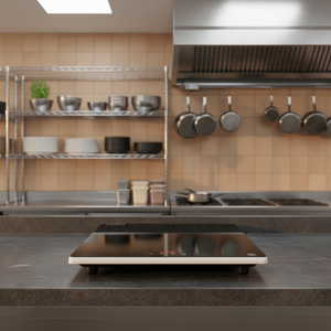 Plato Calentador Sunnex para Equipamiento de Hoteles y Restaurantes, Acero Inoxidable, Calentamiento Eléctrico para Buffet, Control de Temperatura - Product Image 4