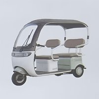 Triciclo Eléctrico para Adultos, 500W, Carrocería Abierta, 3 Pasajeros, para Paseos en el Parque y Picnic