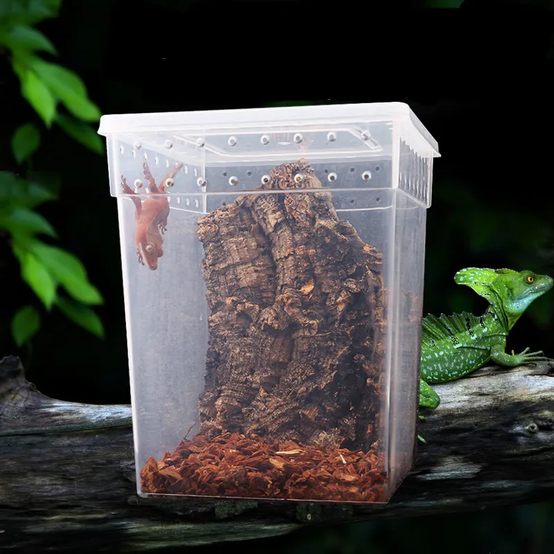 Caixa de alimentação transparente de plástico, terrário de reptilha para aranha, lagarto, camaleão gecko, sapo