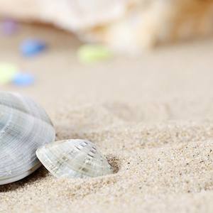 Filippijnse Zand, Shell Zand, Coral Zand - Product Image 3