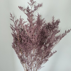 Fleur séchée en gros Statice Caspia, Herbe Brumeuse, Limonium Préservé, Lavande de Mer, Fleur séchée de Limonium pour Événements et Décoration de Mariage - Product Image 3