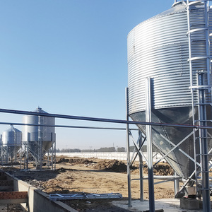 Silo d'alimentation en acier galvanisé <span class=keywords><strong>pour</strong></span> l'élevage de poulets, solutions d'élevage porcin et avicole, construction de lignes d'alimentation agricoles et stockage - Product Image 5