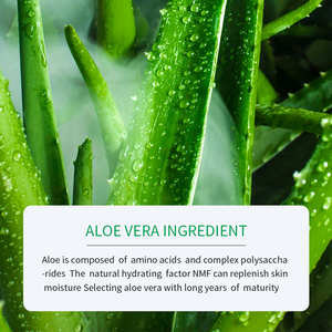Saoer – sérum pour le visage, hydratant en profondeur, nourrissant, rétrécissant et éclaircissant, OEM ODM, naturel et rafraîchissant, nouvel arrivage, 30ml - Product Image 4