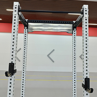 Rack de musculation de luxe à cadre complet en acier pour la maison GW605 avec pile de poids de 80 kg pour la musculation et l'entraînement des bras