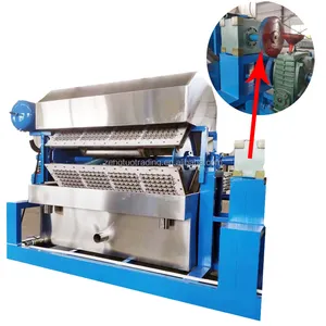 Çin yapılan atık kağıt geri dönüşüm 3000 adet otomatik kağıt yumurta tepsisi makinesi üretim hattı çin'de