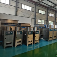 Machine à éplucher l'ail pneumatique à haute efficacité KLS