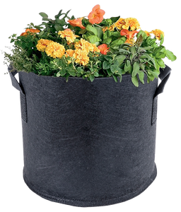 La planta de tela negra no tejida respetuosa del medio ambiente de 7 galones <span class=keywords><strong>crece</strong></span> las bolsas de cultivo del pote con las asas - Product Image 1