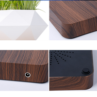Beau Pot de Plante en Lévitation Magnétique pour Plantes Pot de Fleur Flottant Rotatif Lévitation Bonsaï En Pot Femmes Cadeaux Décor À La Maison