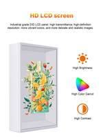 Caja de Exhibición LCD Holográfica Transparente de 21.5-98 Pulgadas con Pantalla Táctil Virtual Digital, Clasificación a Prueba de Polvo, Función SDK