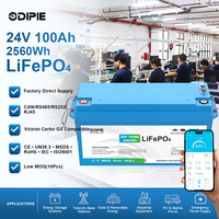 Batterie LiFePO4 24V 100Ah pour camping-car avec BMS CAN RS485 Bluetooth IP67 compacte pour caravane, escapade du week-end, camping