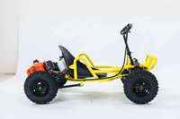 Karts tout-terrain YLA pour adultes, voiture de karting sur circuit