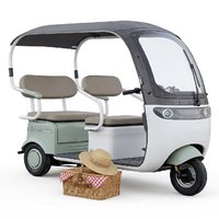 Triciclo Eléctrico para Adultos, 500W, Carrocería Abierta, 3 Pasajeros, para Paseos en el Parque y Picnic