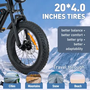 HITWAY BK29 New Arrivals Fat Tire Bike 20inch 7 Speed Mountain Bike 250w Retro E Dirt Bikes For Adults