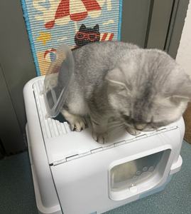 <span class=keywords><strong>Toilette</strong></span> pour <span class=keywords><strong>chat</strong></span> à rabat arrière de grande taille entièrement fermée Boîte de litière pour <span class=keywords><strong>chat</strong></span> <span class=keywords><strong>Toilette</strong></span> d'entraînement pour <span class=keywords><strong>chat</strong></span> d'intérieur - Product Image 6