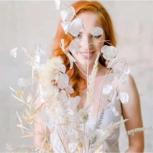 Fleurs décoratives les plus populaires INS, fleurs séchées et plantes, lunaria naturelle conservée pour la décoration de la maison - Product Image 2