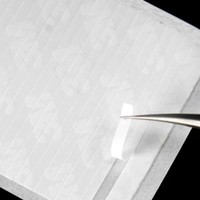 250 bandes de ventilateur faciles pour le volume Fournitures d'extension de cils Volume Lashes Storage Sticky Strip fournitures d'extension de cils