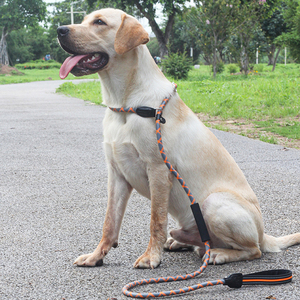 Wholesale Premium Quality Nylon <strong>Dog</strong> Slip <strong>Rope</strong> Leash Modern Style Mountain Climbing <strong>Lead</strong> Fashion Classic Simple - Product Image 6