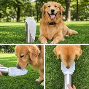 Gourde d'hydratation portable pour animaux de compagnie, en acier inoxydable, isolée, pour les voyages en voiture, le camping, avec bol en silicone portable - Product Image 6
