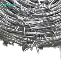 Dây thép gai 2 sợi mạ kẽm nhúng nóng có đường kính 2.0mm, bán hàng trực tiếp từ nhà máy ở <span class=keywords><strong>anping</strong></span> - Product Image 3