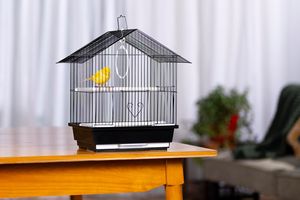 Am-azon Venta caliente Pequeño Alambre de metal para <span class=keywords><strong>jaula</strong></span> plegable de pájaros - Product Image 4