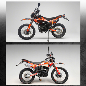 Motocicleta Todoterreno de 300cc, Cuatro Tiempos, Eficiente en Consumo de Combustible, Baja Cilindrada, de Gasolina, de Dos Ruedas - Product Image 4