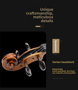 CHENTUO CT1.62 Handmade Student Violin Set Solid Spruce Top Flame Maple Back/<b>Sides</b> Ebony Fingerboard Wood Carbon Fiber Liaoning - Product Image 6