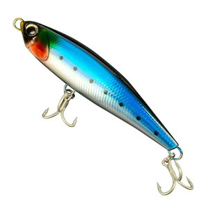 Fabricants de leurres de pêche <span class=keywords><strong>au</strong></span> thon GT en eau de mer de 160 mm 65 g, en ABS, flottants, pour la pêche <span class=keywords><strong>au</strong></span> poisson-chat, <span class=keywords><strong>au</strong></span> <span class=keywords><strong>maquereau</strong></span> et <span class=keywords><strong>au</strong></span> marlin - Product Image 6