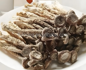 Venta caliente Pilose Antler Mushroom Deer Velvet Antler Todo secado VF Proceso Fried Chicken Mushroom Fungus Barato - Product Image 6