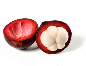 Bột Chiết Xuất Từ Cây Măng Cụt Tự Nhiên 100% Chất Lượng Hàng Đầu Polyphenole - Product Image 2