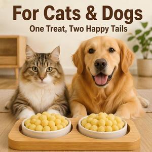 Vente directe usine – Friandises lyophilisées de haute qualité pour chats et chiens, jaune d'œuf de caille, OEM, riches en lécithine naturelle, protéines élevées, sans céréales - Product Image 2