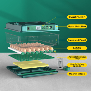 Incubadora de Gansos NOVA <span class=keywords><strong>2025</strong></span> com Controle Automático de Umidade e Virada Automática de Ovos 100V-240V AC Taxa de Eclosão de 98% Capacidade para 130 Ovos - Product Image 6