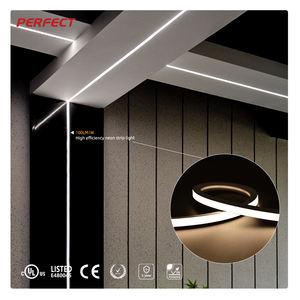 Tira de LED de Neón Flexible y Curvable PERFECT para Señalización y Decoración - Alto CRI >90 Sin Puntos Oscuros Radio de Curvatura de 60 mm Corte de 41.7 mm - Product Image 1