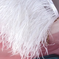Bande de tissu en plumes d'autruche faites à la main 10-15 cm, bordure décorative pour vêtements de mariage, artisanat DIY, accessoires pour jupes de danse latine et poignets