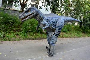 Modelo de Simulación de Dinosaurio Velociraptor Adulto, Disfraz Animatrónico para Parques de Aventuras, Aeropuertos, Parques Temáticos, Parques de Diversiones y Centros Comerciales - Product Image 2