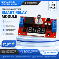 Módulo de Relé de Tiempo Miniatura de 1 Vía, 5V/12V/24V DC, Programable, con Aislamiento por Optoacoplador, Terminal de Tornillo de Pulso