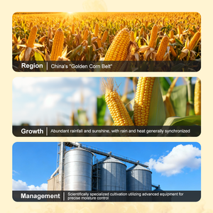 فشار بالجملة من المصنع، فشار بثلاث نكهات، 260 جرام، فشار معبأ في زجاجات، وجبة خفيفة من الحبوب - Product Image 6