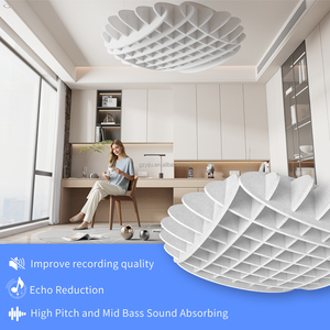 Pannello del soffitto fonoassorbente sospeso per ufficio leggero e facile da installare soffitto in feltro per animali domestici - Product Image 3