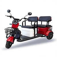 Véhicule électrique à trois roues personnalisé 48V 25km/h, trois places, phares haute luminosité, cadre robuste, longue autonomie de la batterie